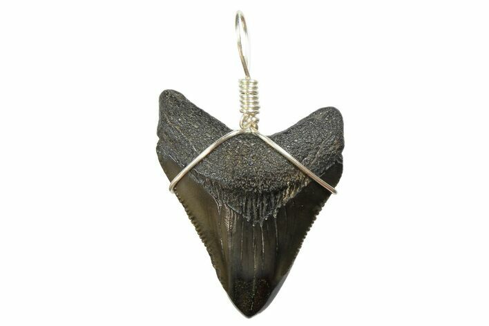 Fossil Megalodon Tooth Necklace #173860
